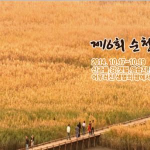 갈대는 역시! 순천만 갈대 (2014.10.17)