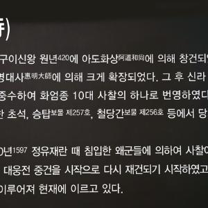 계룡산 갑사 2-6 (2016. 8. 9)