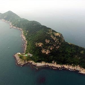 물개 닮은 섬에 유채꽃이 활짝 피었습니다