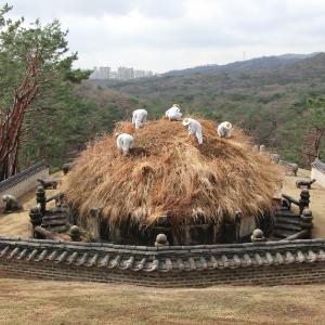 태조 이성계의 건원릉, 억새 자르는 날