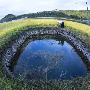 ‘고성 해안지역 둠벙 관개시스템’ 국가중요농업유산으로 지정