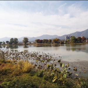 두물머리(양수리)의 가을