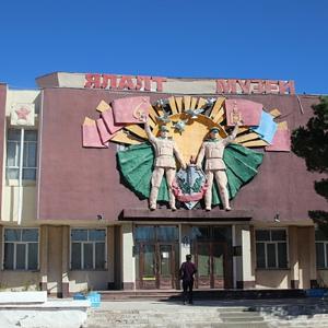 10시간을 달려 찾아낸 