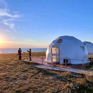 멸종위기에 빠진 몽골 가젤, 실제로 보니