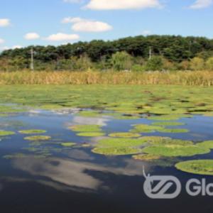 멸종위기 야생식물 지정 보호...내륙지역 생태 복원, 공원 조성해 볼거리 많아